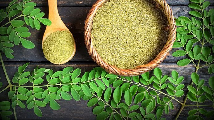 moringa